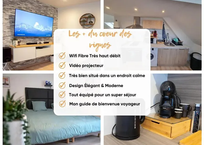 Au cœur des vignes Proche Disneyland Appartement *